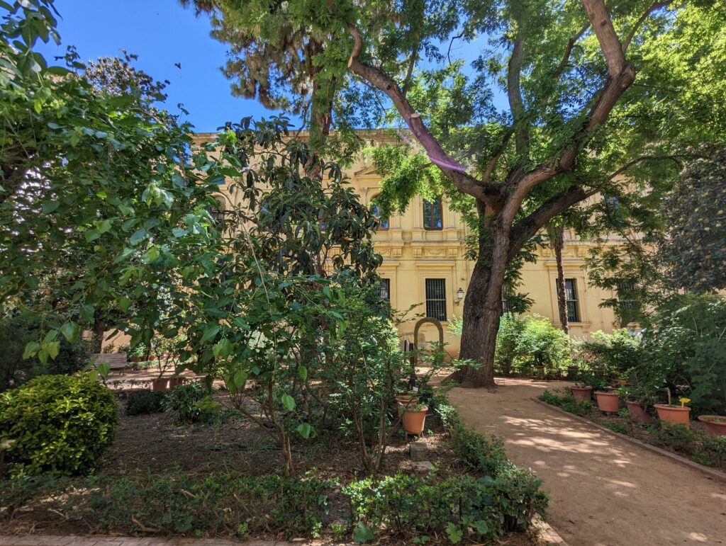 Hospital Real, Rectorado de la Universidad de Granada — encuadernar tesis doctoral en Granada